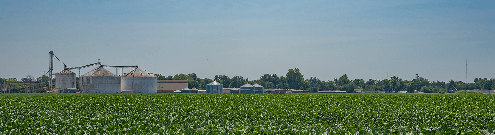 Agriculture field with silos.